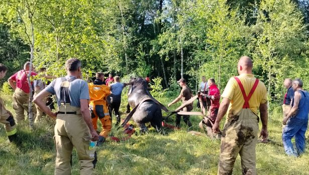 wakcji-strazacy-uratowali-9-koni