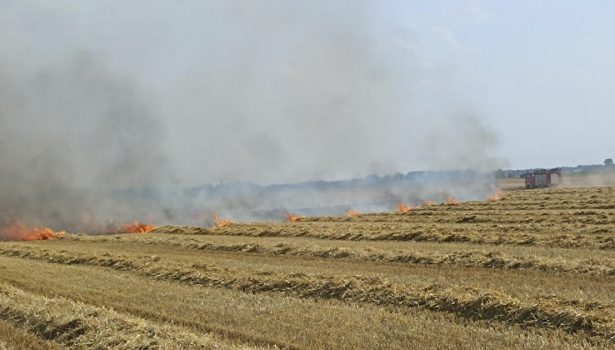 15 zastępów walczyło z pożarem na polach