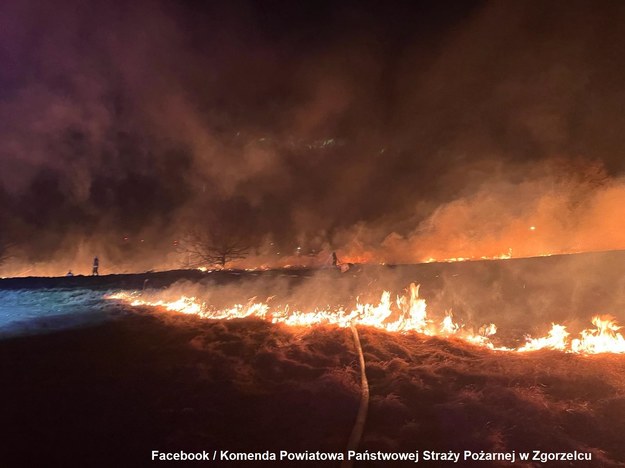 Pożar 9 hektarów nieużytków w Zawidowie 
