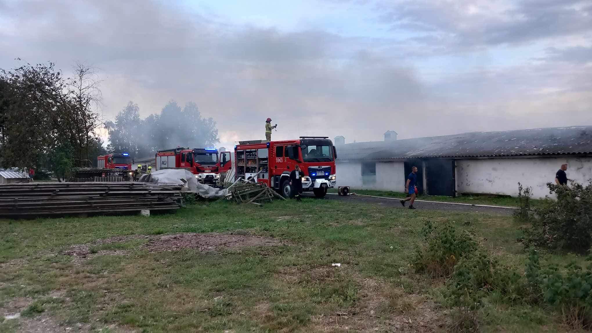 Duży pożar kurnika w Lubelskim – straty na około 200 tysięcy złotych