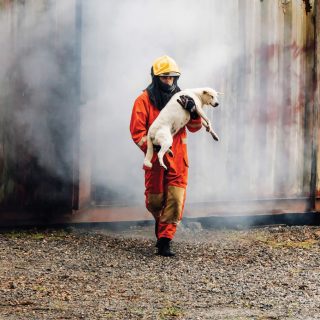 W_AKCJI_4_24_Waldemar_Pruss_POZAR_POMOC_ZWIERZETOM_DOMOWYM_iStock-1985447447