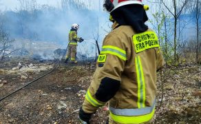 OSP W AKCJI: OSP Dabrówka-Mała