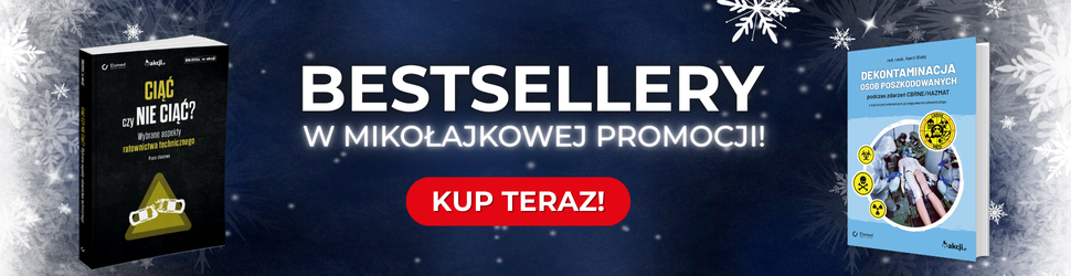 Bestsellery w mikołajkowej promocji!