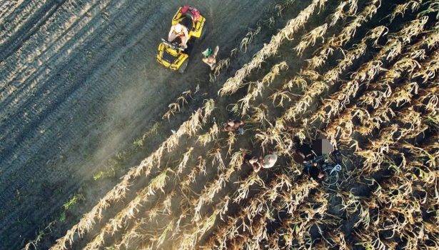 W_AKCJI_1_26_Maciej_Burziwoda_CZYM_JEST_ZAGINIECIE_I_KTO_BIERZE_UDZIAL_W_POSZUKIWANIACH_FOT_1