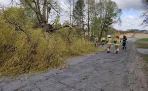 Silny wiatr nad Polską. Strażacy w całym kraju w akcji