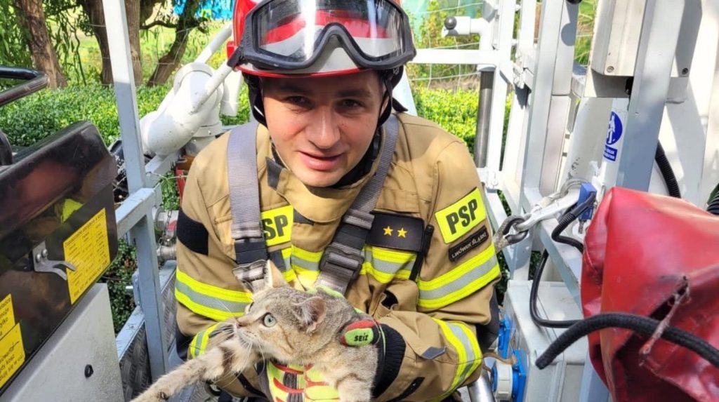 Strażak PSP z Lwówka Śląskiego walczy o powrót do zdrowia